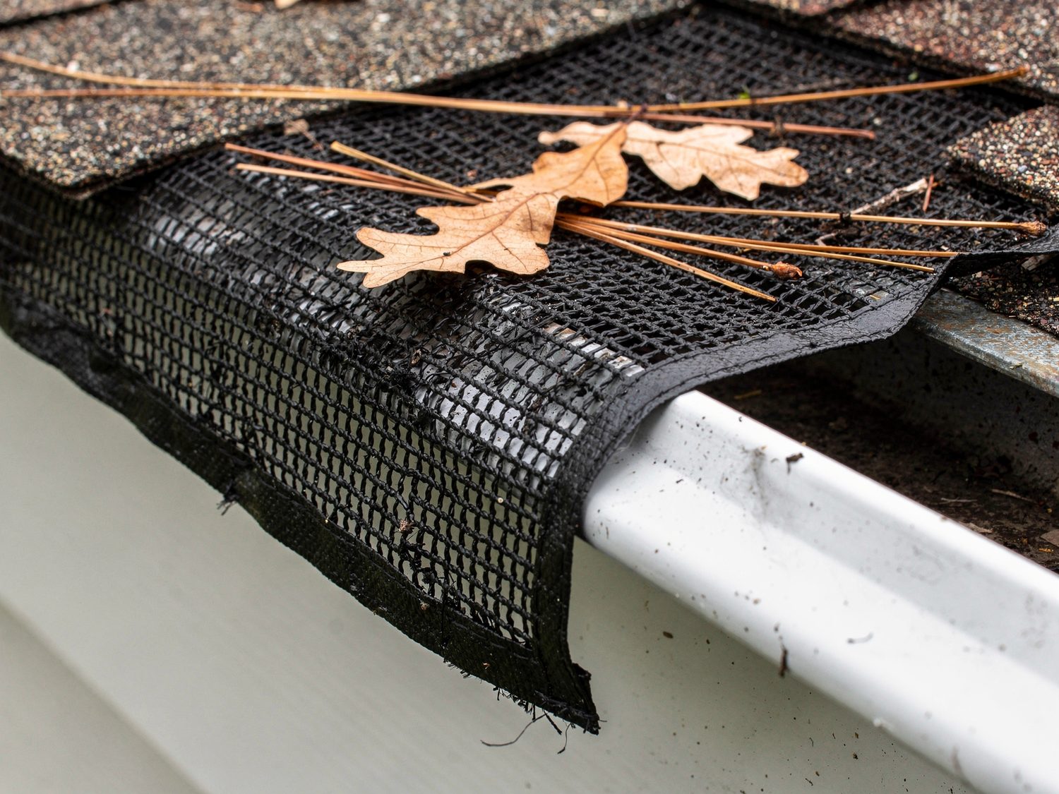 Gutter Guards and Leaf Protection in Athens, GA